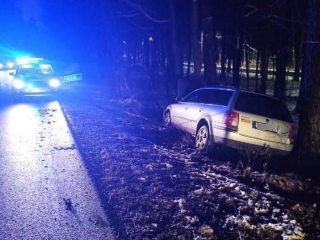 51-latek rozbił auto na drzewie, miał ponad trzy promile - Radio Zielona Góra 97,1FM
